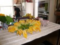 /album/galerie-photos/fleurs-de-courgettes-jpg/